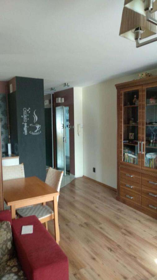 Lesny Apartament Białystok Kültér fotó